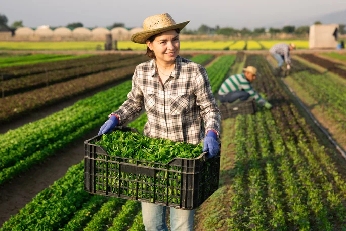 Fonduri europene agricultura