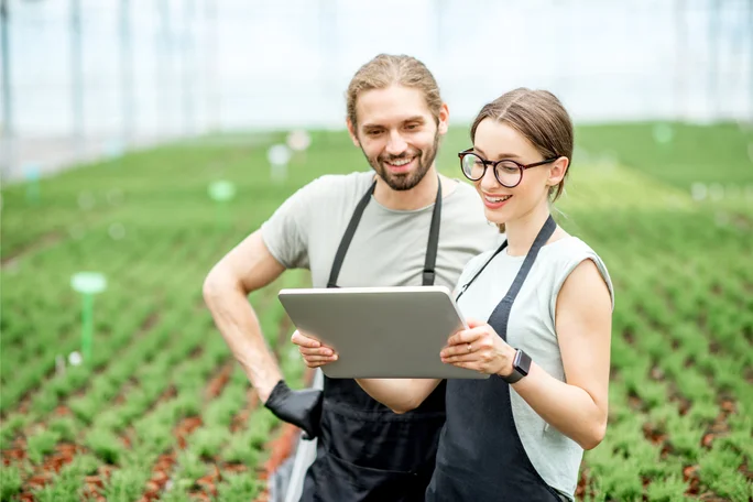 Finantarea proiectelor industriale Greenfield
