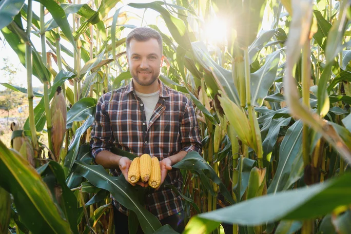 Credit investitii agricultura