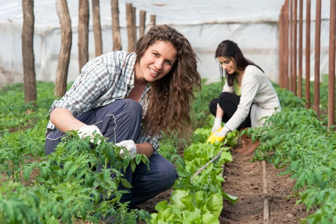 agricultura