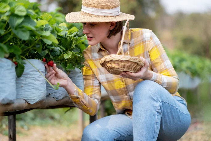 Credite agro IMM Invest