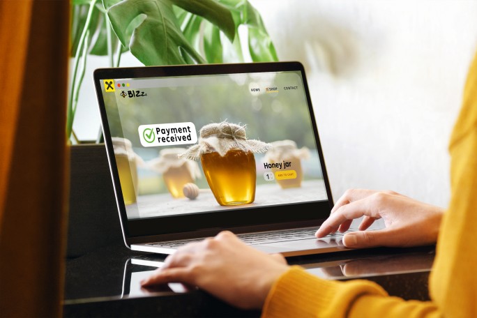 IMM acceptare carduri prin internet, e-commerce