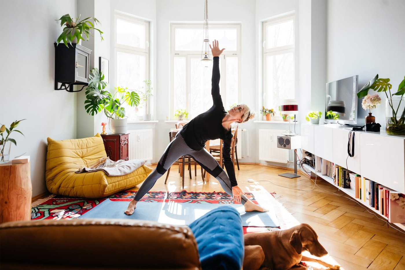 O persoana executa o pozitie de yoga intr-un living bine luminat. Persoana se afla pe un covoras de yoga albastru, intinzand un brat in sus in timp ce cealalta mana atinge podeaua. Camera are ferestre mari care permit luminii naturale sa umple spatiul, si sunt mai multe plante plasate in jurul camerei. Un fotoliu galben tip sac este pozitionat langa ferestre, iar sub covorasul de yoga este un covor colorat. Un caine sta intins pe podea langa covorasul de yoga. Pe un perete sunt rafturi cu carti si alte obiecte, iar pe alt perete este montat un televizor.