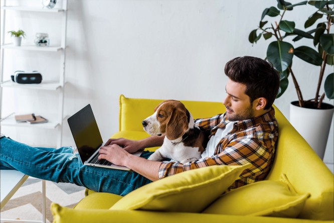 Imagine clickabila cu link catre articol despre economisire. Imagine cu barbat pe canapea, scriind la laptop, cu un caine langa el