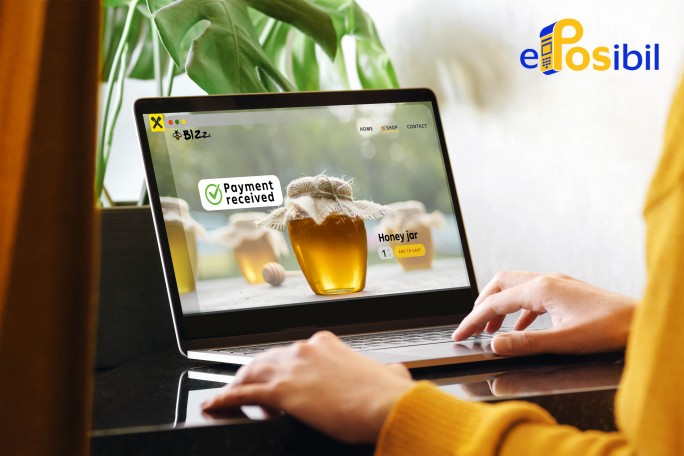 IMM acceptare carduri prin internet, e-commerce